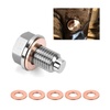 Drain Plugs & Replacement Parts for Automotive - [Your Shop Name]