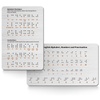 Braille Learning Resources: Digital Ebooks & More