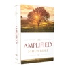 Amplified Digital Store: Books on Religion, Spirituality & Christianity