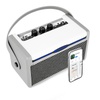 Amplifiers & Effects for Musical Instruments