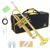 Alto Horns for Band & Orchestra - Musical Instruments