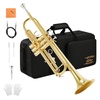 Trumpet Categories: Find Your Perfect Instrument