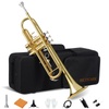 Standard Musical Instruments & Brass Instruments