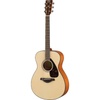 Solid Body Guitars & Instruments