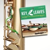 Soprano Saxophone & Accessories