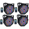 Lighting Equipment & Accessories