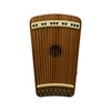 Stringed Instruments: Explore Folk, World, Orchestral, & More