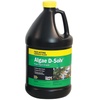 Pond Foggers: Control Pond Algae with Effective Solutions