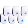 Pest Control Solutions for All Your Needs