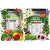 Herbs: Seeds & Bulbs for Patio, Lawn & Garden