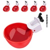 Poultry Fountains & Waterers: Supplies for Every Poultry Setup