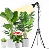 Growing Lamps: Illuminate Your Garden & Grow Indoors