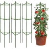 Plant Cages & Supports: Structures for Patio & Garden Growth