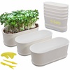 Pots, Planters & Container Accessories for Every Garden