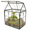 Terrarium Plants & Accessories for Patio & Garden