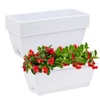 Window Boxes for Patio & Garden Decor