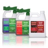 Weed & Moss Control Solutions for Patio, Lawn, and Garden