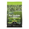 Moss Control Solutions for Patio & Lawn
