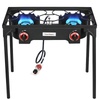 Fryers for Patio & Outdoor Cooking
