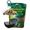 Mealworms for Backyard Birds & Wildlife