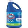 Pool Algaecides & Supplies for Clean Pools & Hot Tubs