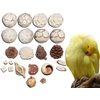 Toys, Pet Supplies & Bird Toys