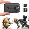 Cats: Apparel, Beds, Cameras & Monitors, Carriers & Strollers, Cat Doors & More