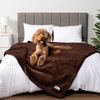 Bed Blankets & Pet Supplies
