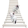 Cat Trees & Condos | Activity Trees & Cat Furniture