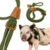 Pet Accessories: Collars, Harnesses & Leashes for Cats & Dogs