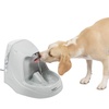 Feeding & Watering Supplies for Cats: Shop Pet Supplies