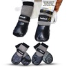 Paw Protectors: Dog Apparel & Accessories for Outdoor Fun
