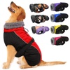 Cold Weather Coats for Dogs & Apparel Accessories