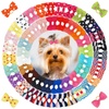 Hair Accessories & Pet Supplies