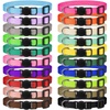 Basic Collars for Dogs & Pet Supplies