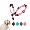 Headcollars for Dogs | Pet Supplies & More