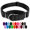 Slip & Martingale Collars for Dogs: Pet Supplies