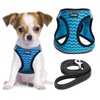 Basic Halter Harnesses for Dogs & Pet Supplies