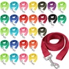 Basic Leashes | Pet Supplies & Dog Accessories