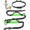Hands Free Leashes for Dogs & Pet Supplies