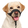 Muzzles & Pet Supplies for Dogs: Collars, Harnesses, & Leashes