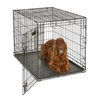 Crates & Kennels: Find the Perfect Dog Cages for Your Pet
