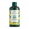Shampoos & Conditioners | Shop All Products