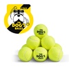 Pet Balls & Toys for Dogs | Shop Online