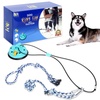 Ropes & Pet Supplies: Dog Toys & Ropes