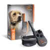 Training Collars for Dogs: Improve Training & Behavior
