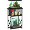 Aquarium Stands: Find the Perfect Setup for Your Fish Tank