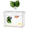 Aquarium Supplies & Pets - Fish, Bowls & More