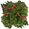 Food & Pet Supplies for Aquatic Pets