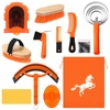 Stable Supplies: All You Need for Horse Care